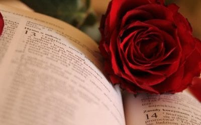 Healthy Fiction (short story)