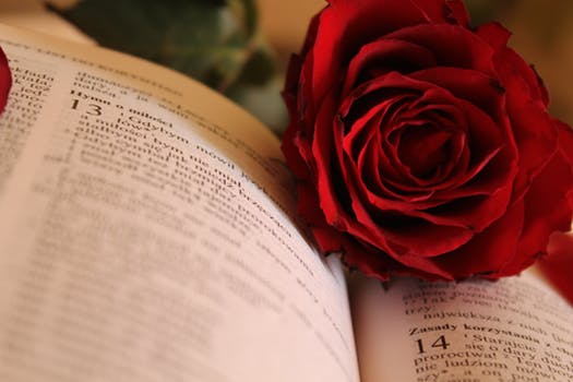 Healthy Fiction (short story)